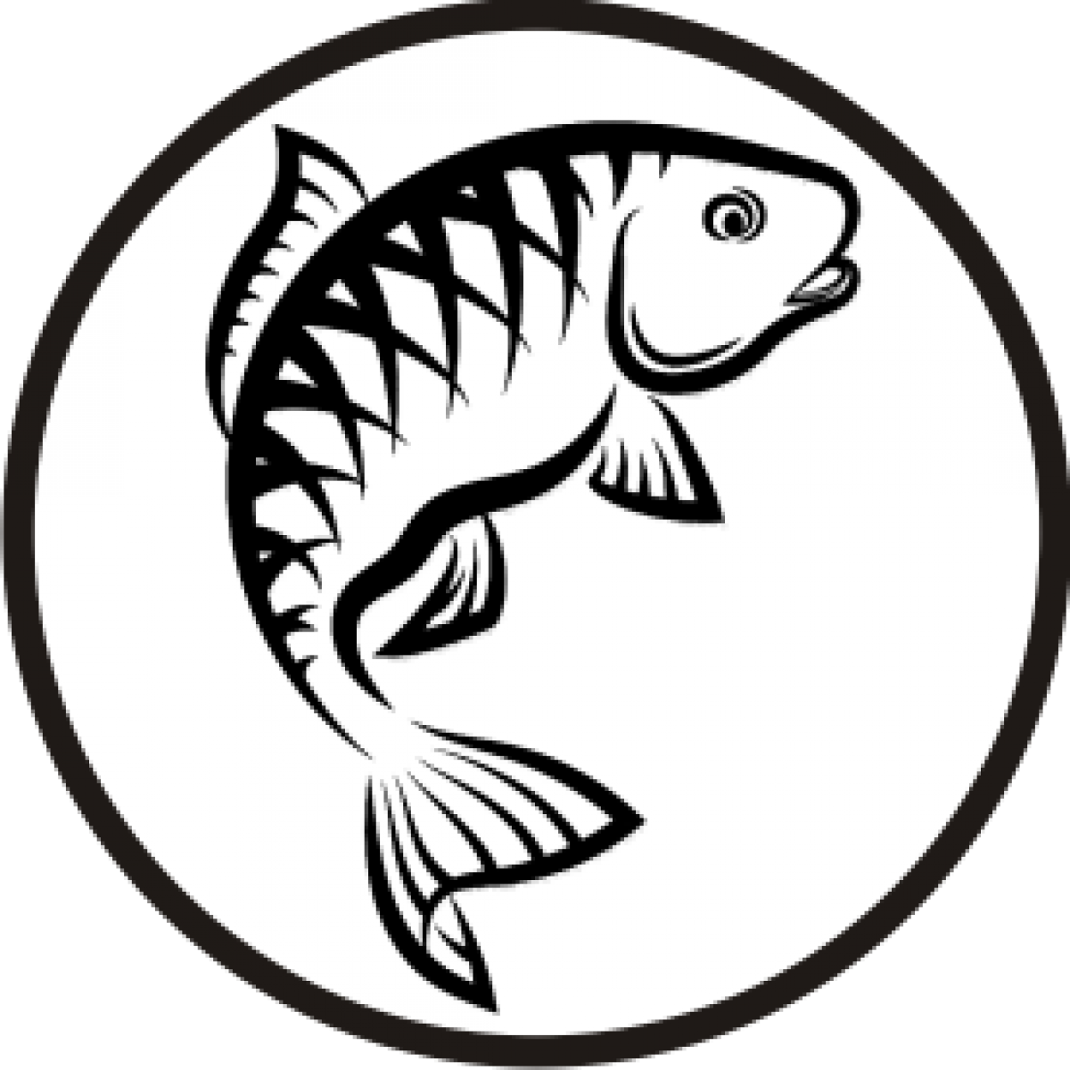 Category Live Fish 鱼类